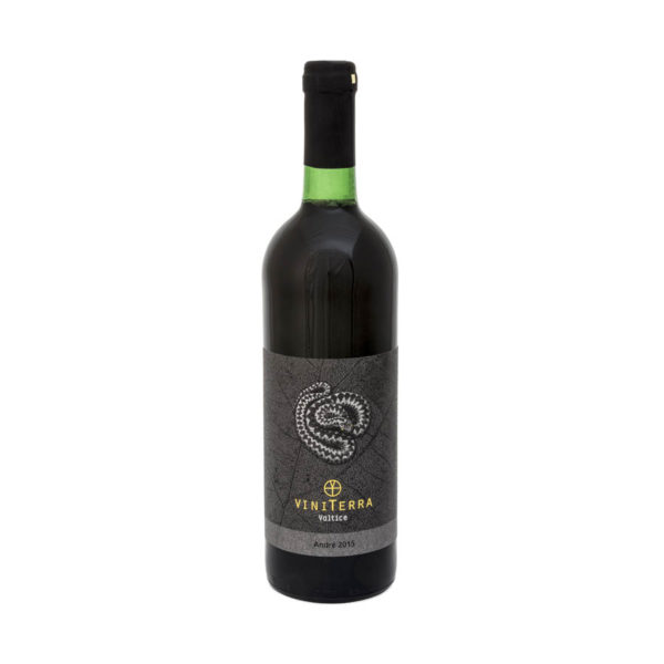 Viniterra-Andre-2015